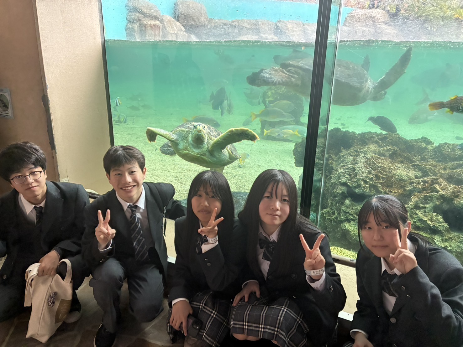 画像 -20250515-233523-6d0add72